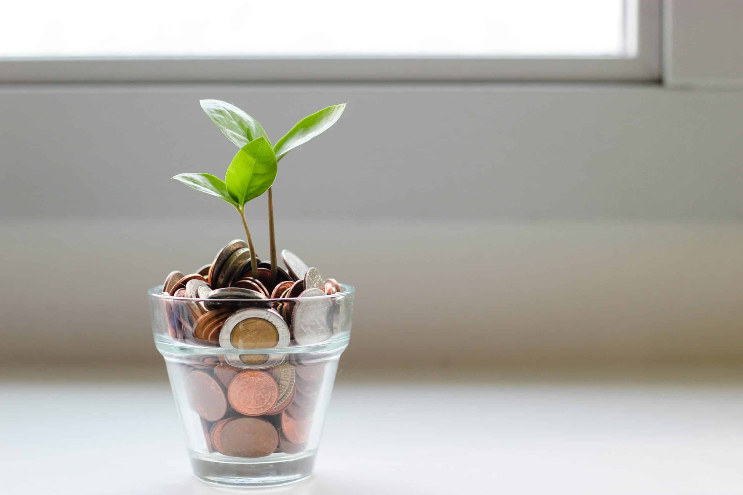 The Ultimate Guide If You Missed the Capital Contribution Deadline