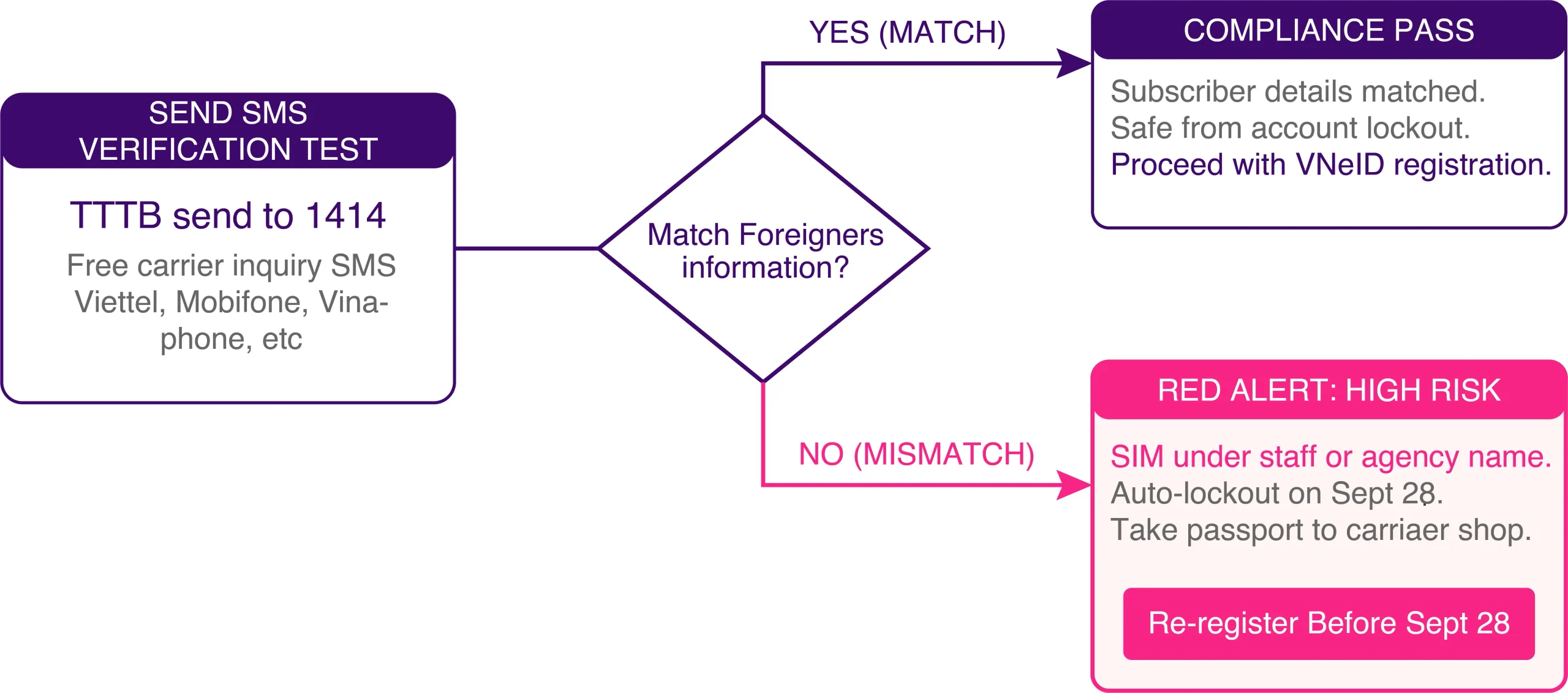 VNeID SIM Verification Audit